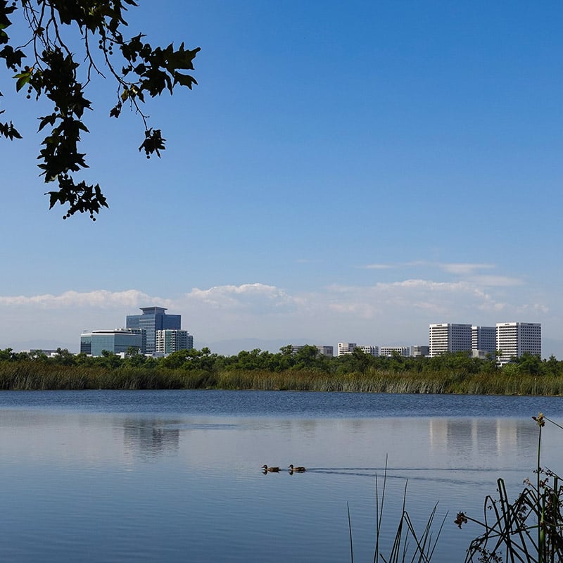 Irvine